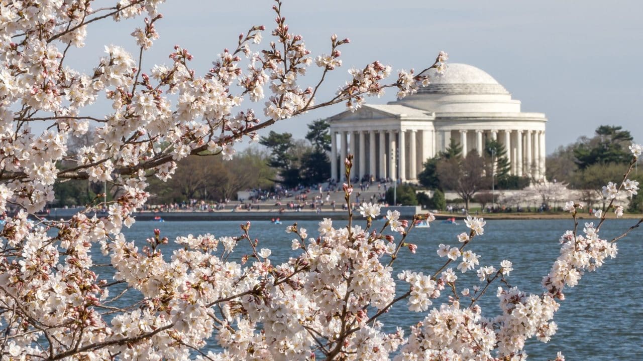 Tidal Basin in Spring